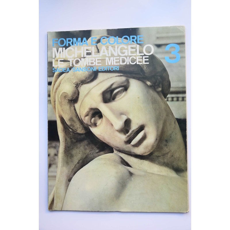 Michelangelo : Le Tombe Medicee