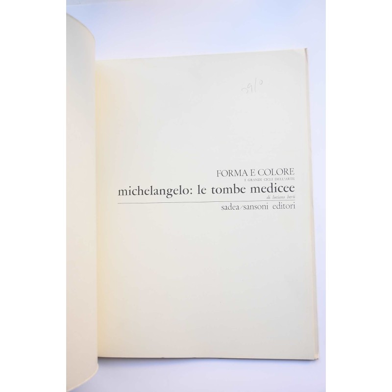 Michelangelo : Le Tombe Medicee