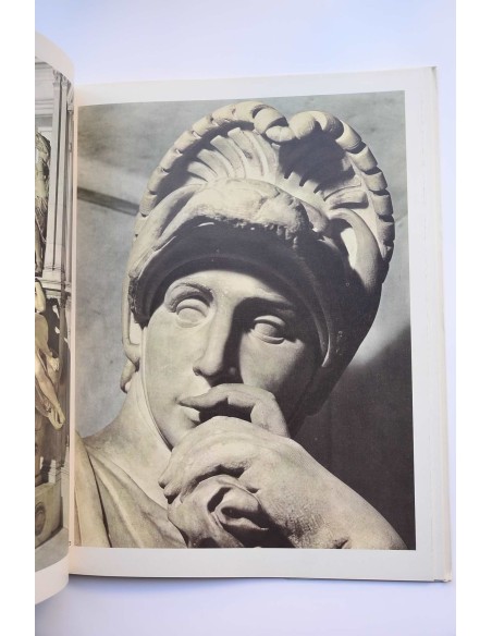 Michelangelo : Le Tombe Medicee