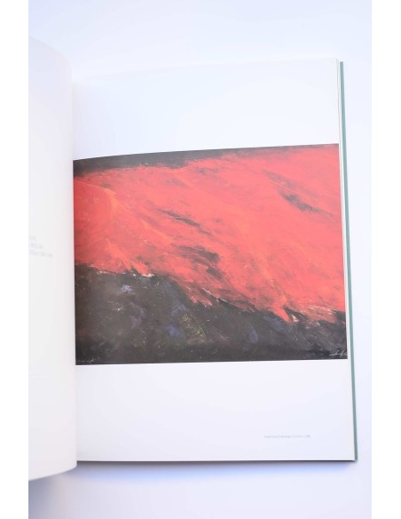 Francisco Cánovas. Génesis. Catálogo de exposiciones. Casa Díaz Cassou, Murcia, 2005