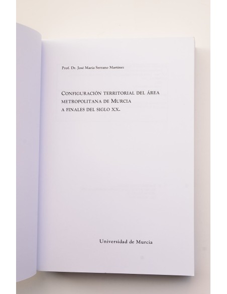 Configuración territorial del área metropolitana de Murcia a finales del siglo XX