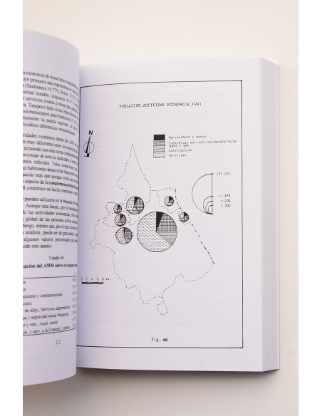 Configuración territorial del área metropolitana de Murcia a finales del siglo XX