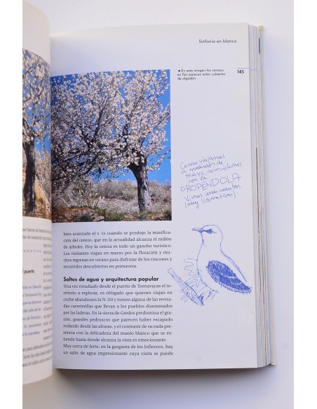 Travelling Volkswagen. Rutas para viajar a través de los sentidos