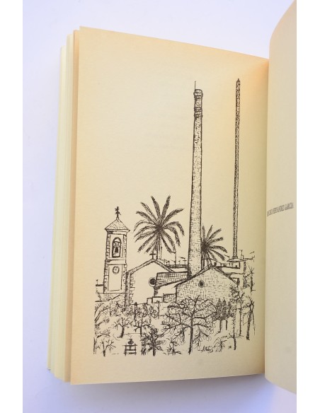 A orillas del Segura. Las Torres de Cotillas