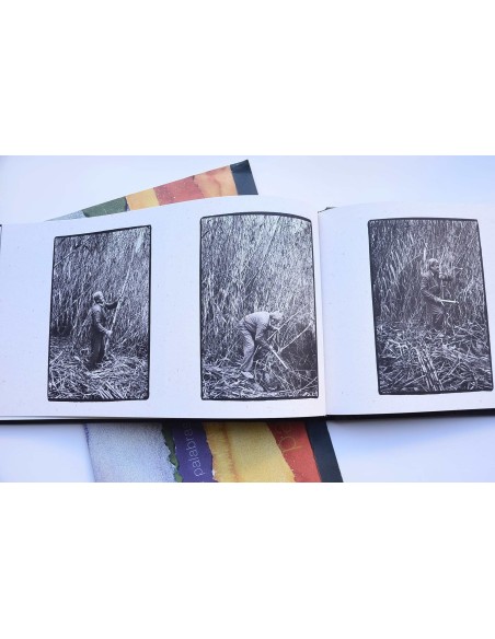 Paisajes de palabras. Espacios protegidos de la Región de Murcia