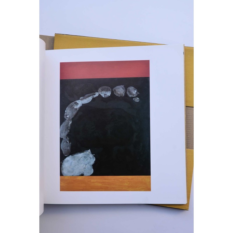 Cuarta Bienal de Pintura de Murcia, 1991