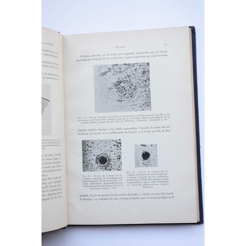 La fecundidad e infecundidad periódicas de la...