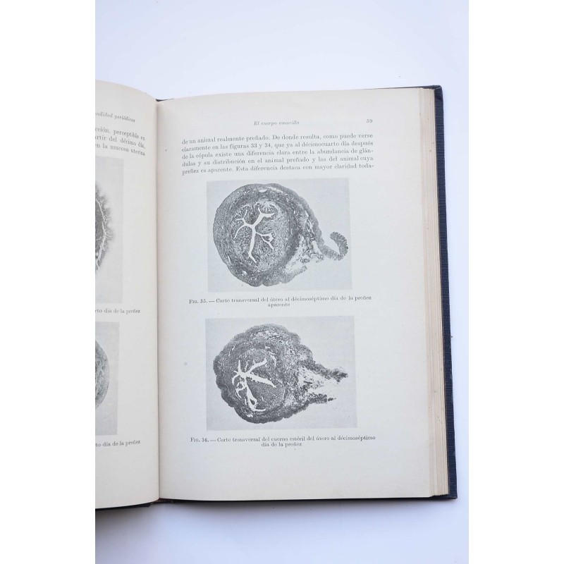 La fecundidad e infecundidad periódicas de la...