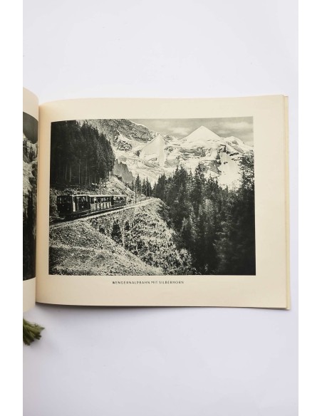 Berner Oberland