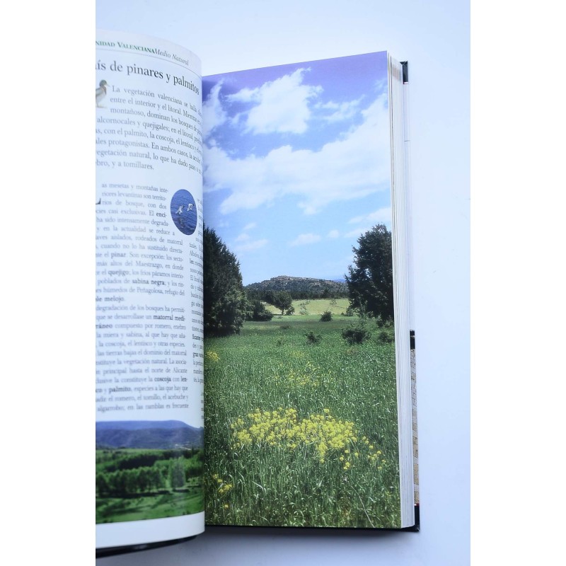 Comunidad valenciana. Guía de viajes