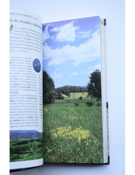 Comunidad valenciana. Guía de viajes