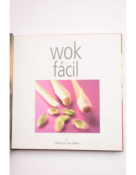 Wok fácil