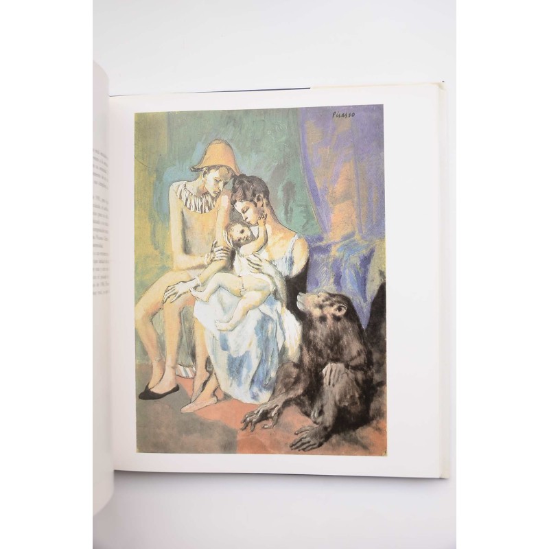 Picasso