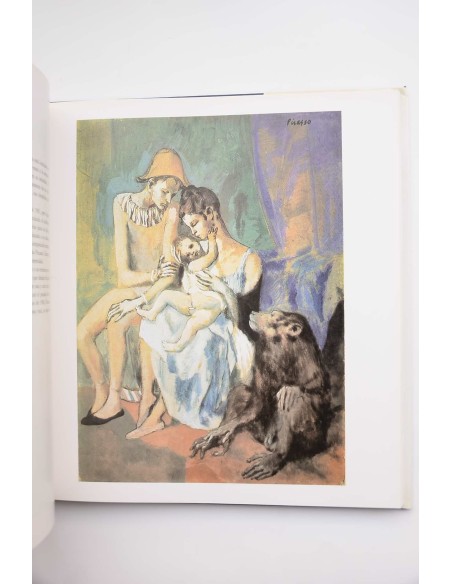 Picasso