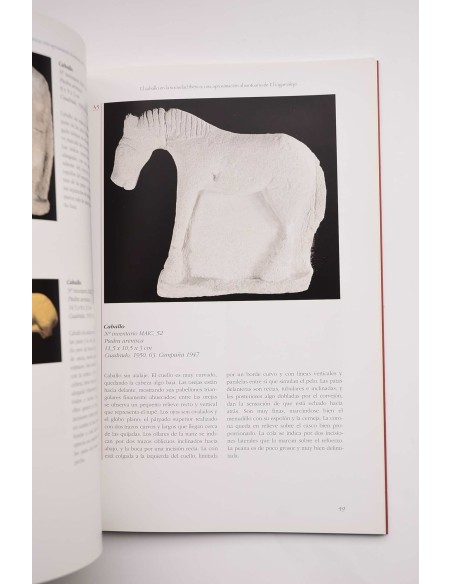 El caballo en la sociedad ibérica. Una aproximación al Santuario de El Cigarralejo.