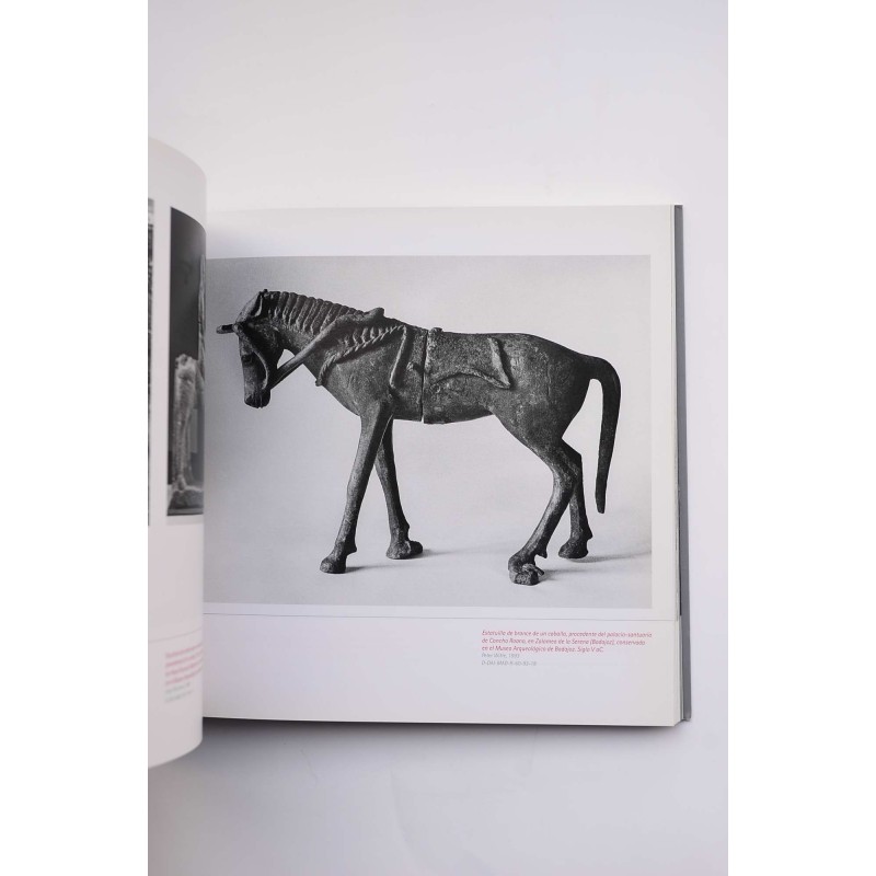 Blick Mira : el archivo fotográfico del...