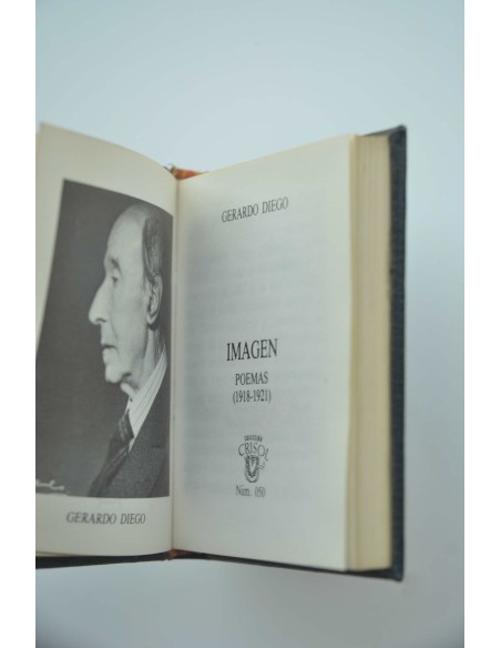 Imagen : poemas (1918-1921)