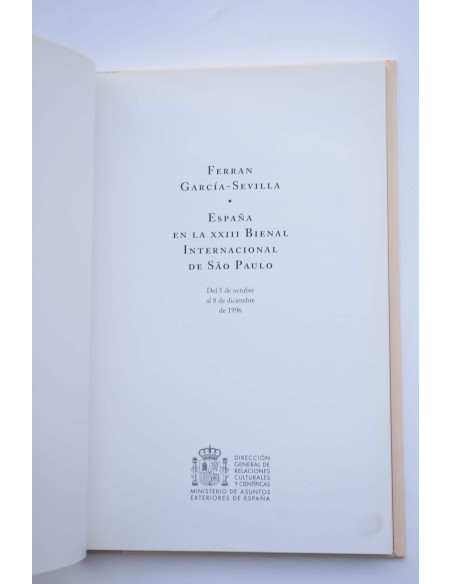 Ferran García Sevilla. España en la XXIII Bienal Internacional de Sâo Paulo 