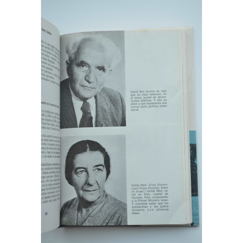 Los israelíes : retrato de un pueblo